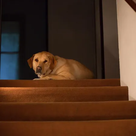 Hotel Terzo Crotto Cernobbio